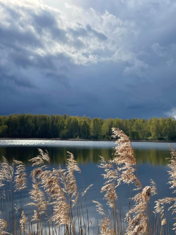Ambercoast Villa Jurmala Luaran gambar